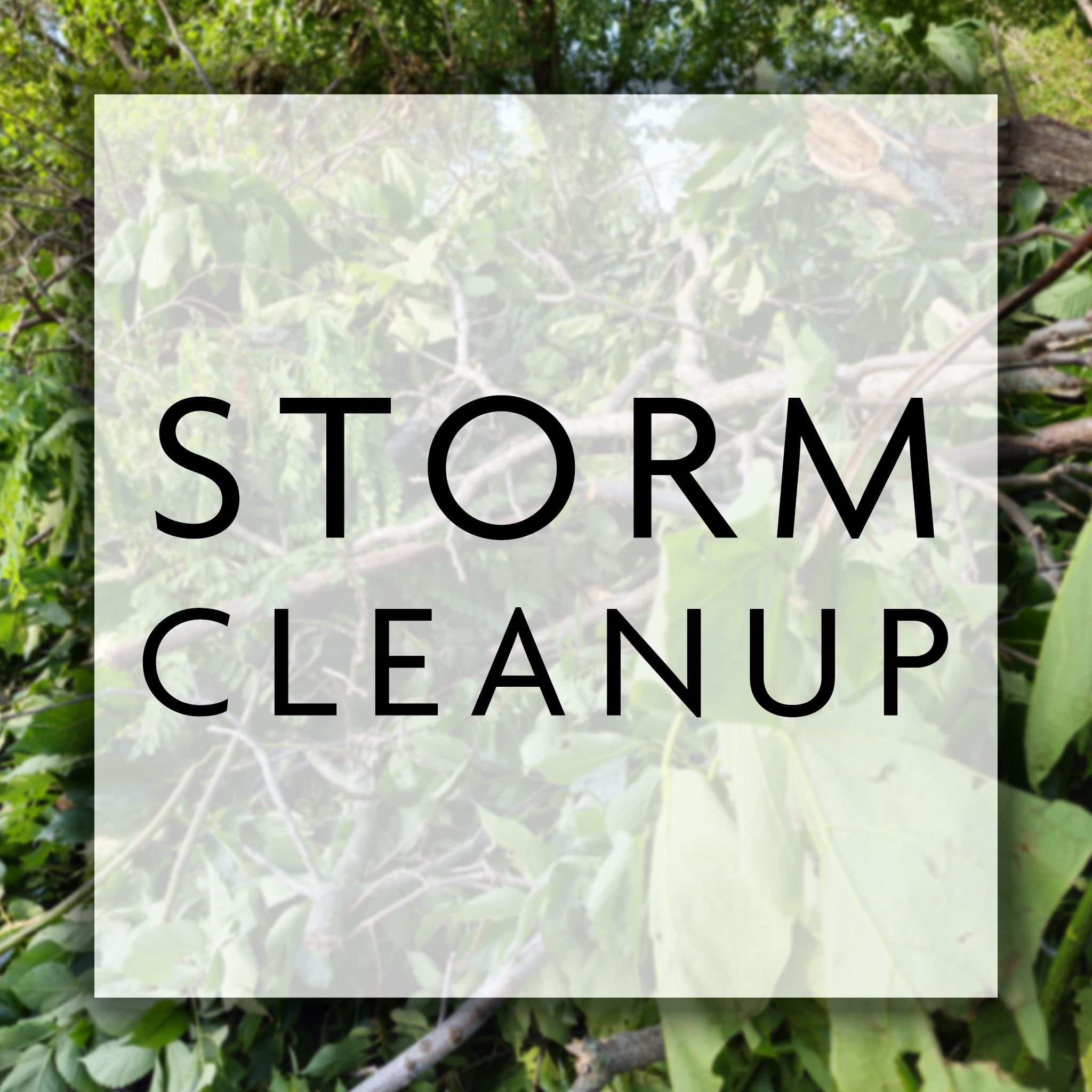 Debris with Storm Clean Up words