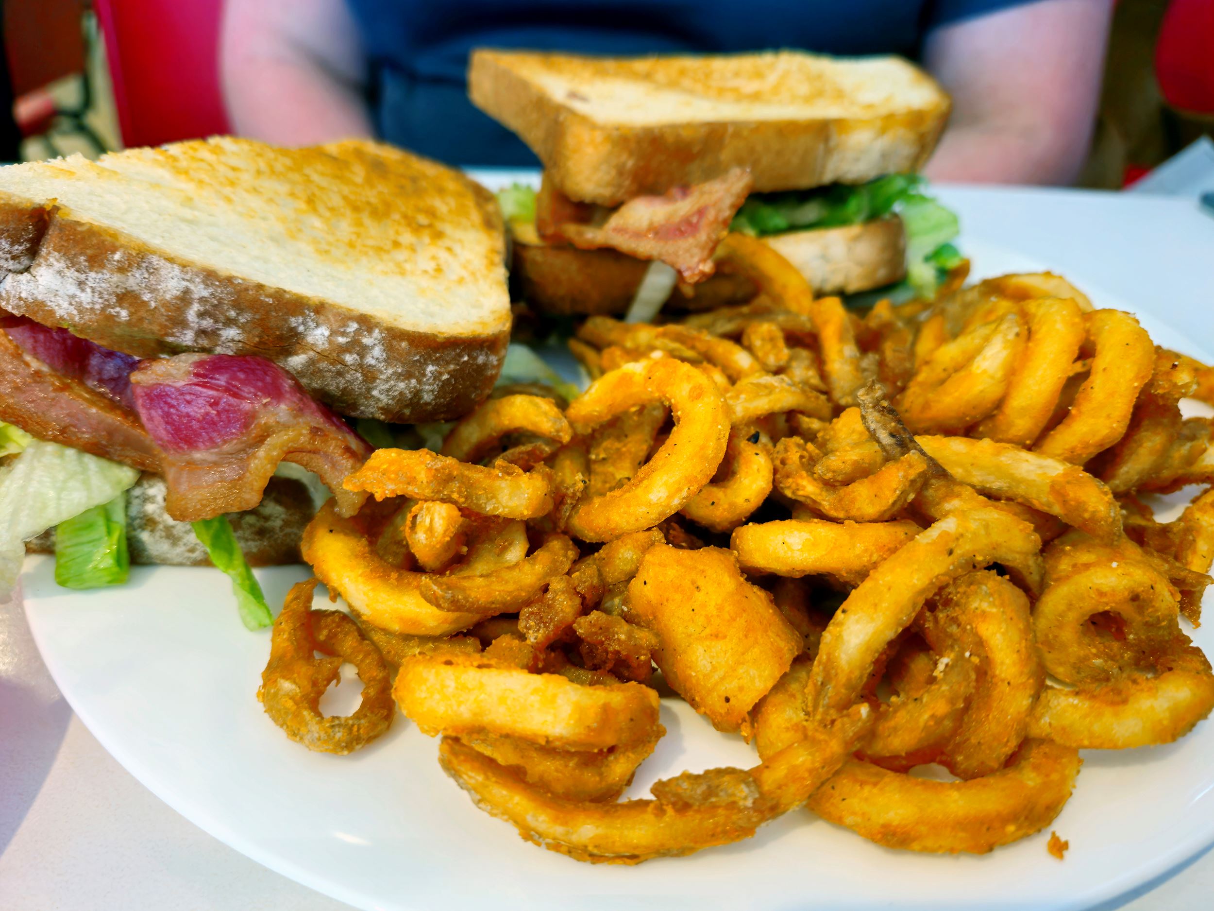 curly fries in front of a sandwich at Hot Rodz Diner